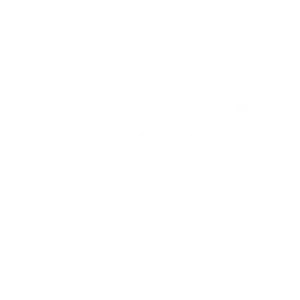 A white colour logo of google