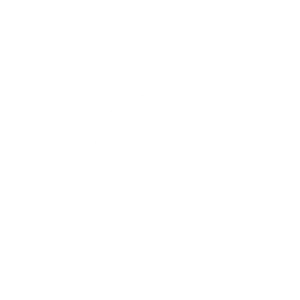 A black colour image of word press logo
